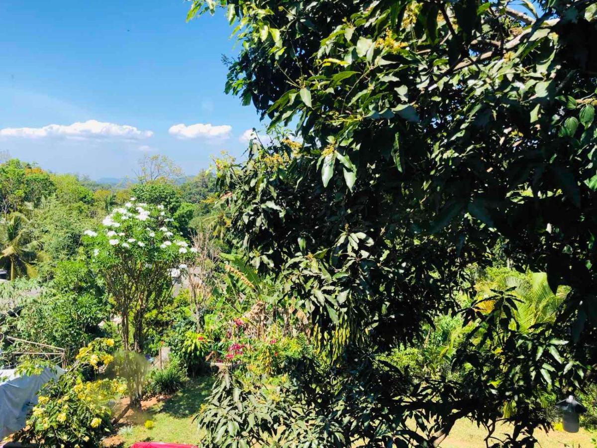 Suisse Villa Kandy Exteriör bild